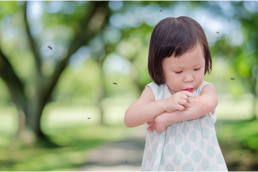 Toddler outdoors with mosquitoes